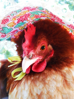 In My Easter Bonnet.JPG