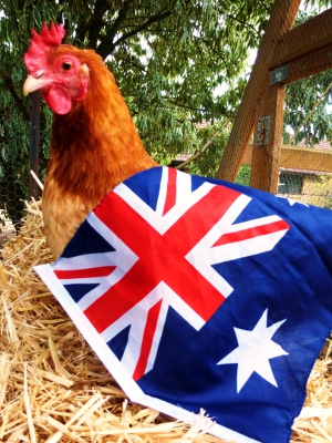 Patriotic Hen.jpg