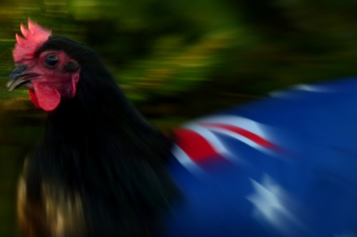 Australia Day 2014.JPG